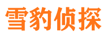 巫溪市调查公司